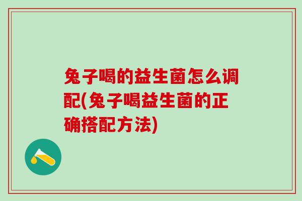 兔子喝的益生菌怎么调配(兔子喝益生菌的正确搭配方法)