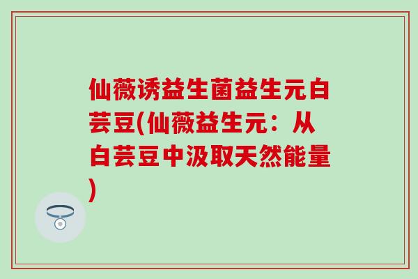仙薇诱益生菌益生元白芸豆(仙薇益生元：从白芸豆中汲取天然能量)