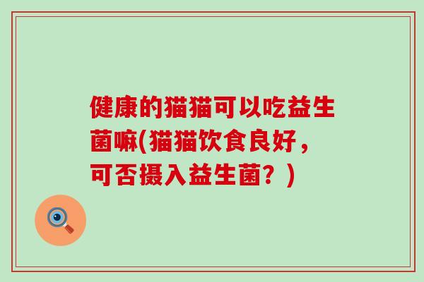 健康的猫猫可以吃益生菌嘛(猫猫饮食良好,可否摄入益生菌?) 健康的猫猫可以吃益生菌嘛(猫猫饮食良好,可否摄入益生菌?)