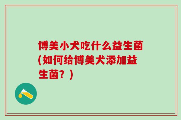 博美小犬吃什么益生菌(如何给博美犬添加益生菌？)