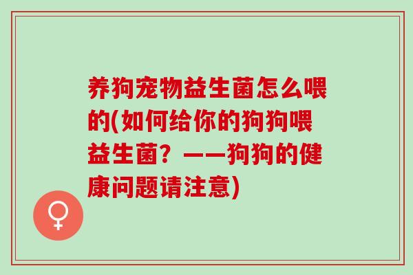 养狗宠物益生菌怎么喂的(如何给你的狗狗喂益生菌？——狗狗的健康问题请注意)