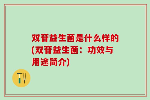双苷益生菌是什么样的(双苷益生菌：功效与用途简介)