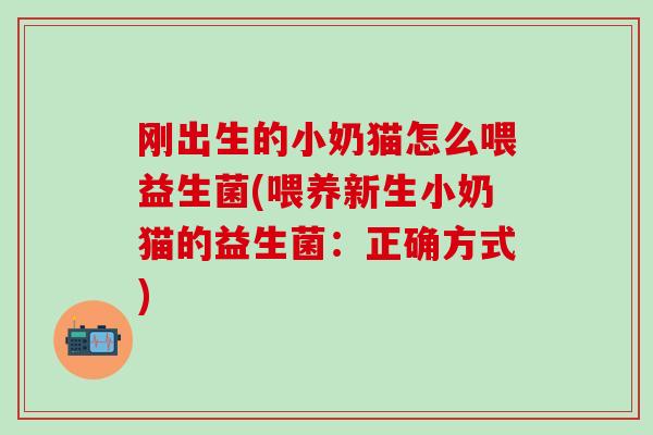 刚出生的小奶猫怎么喂益生菌(喂养新生小奶猫的益生菌：正确方式)