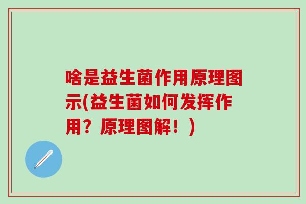 啥是益生菌作用原理图示(益生菌如何发挥作用？原理图解！)