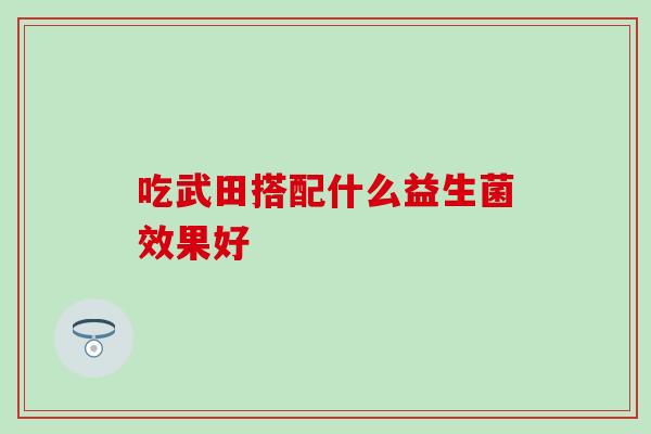 吃武田搭配什么益生菌效果好