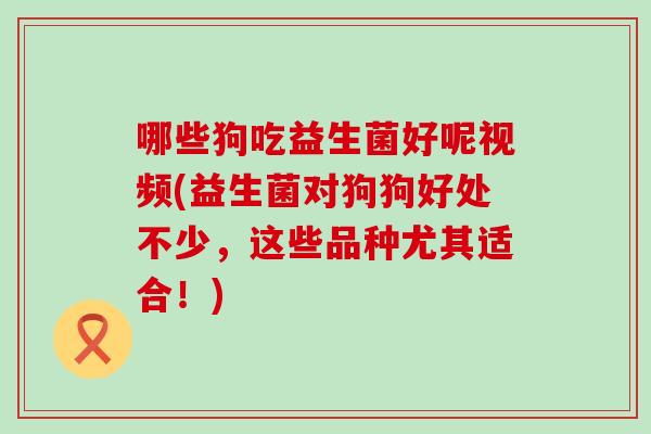 哪些狗吃益生菌好呢视频(益生菌对狗狗好处不少，这些品种尤其适合！)
