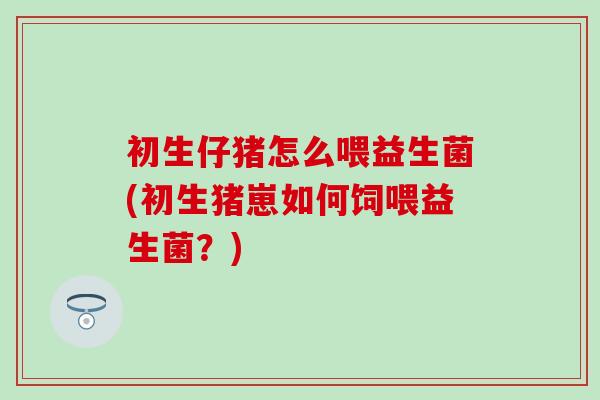 初生仔猪怎么喂益生菌(初生猪崽如何饲喂益生菌？)