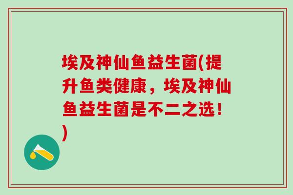 埃及神仙鱼益生菌(提升鱼类健康，埃及神仙鱼益生菌是不二之选！)