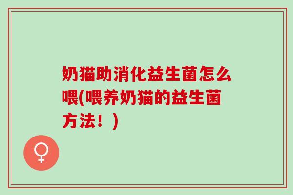 奶猫助消化益生菌怎么喂(喂养奶猫的益生菌方法！)