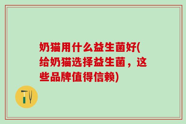 奶猫用什么益生菌好(给奶猫选择益生菌，这些品牌值得信赖)