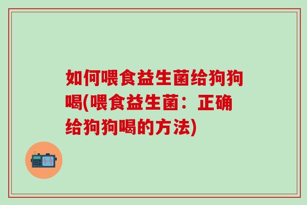 如何喂食益生菌给狗狗喝(喂食益生菌：正确给狗狗喝的方法)