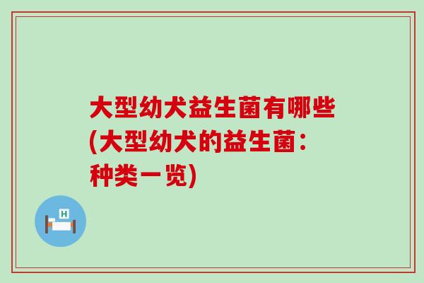 大型幼犬益生菌有哪些(大型幼犬的益生菌：种类一览)