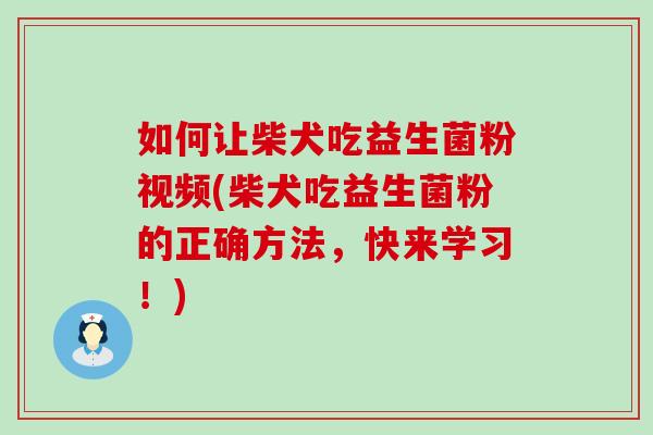 如何让柴犬吃益生菌粉视频(柴犬吃益生菌粉的正确方法，快来学习！)