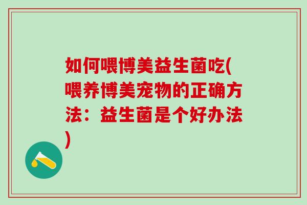 如何喂博美益生菌吃(喂养博美宠物的正确方法：益生菌是个好办法)
