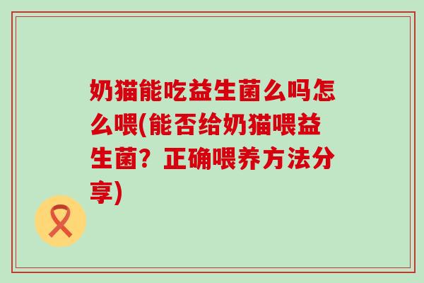 奶猫能吃益生菌么吗怎么喂(能否给奶猫喂益生菌？正确喂养方法分享)