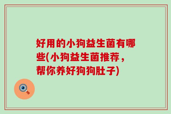 好用的小狗益生菌有哪些(小狗益生菌推荐，帮你养好狗狗肚子)