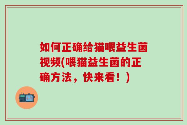 如何正确给猫喂益生菌视频(喂猫益生菌的正确方法，快来看！)