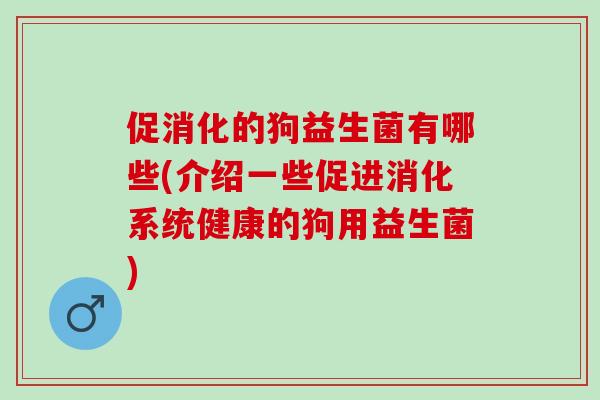 促消化的狗益生菌有哪些(介绍一些促进消化系统健康的狗用益生菌)