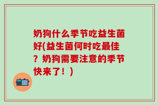 奶狗什么季节吃益生菌好(益生菌何时吃佳？奶狗需要注意的季节快来了！)