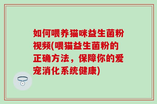 如何喂养猫咪益生菌粉视频(喂猫益生菌粉的正确方法,保障你的爱宠消化系统健康) 如何喂养猫咪益生菌粉视频(喂猫益生菌粉的正确方法,保障你的爱宠消化系统健康)
