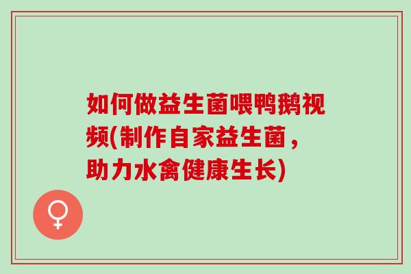 如何做益生菌喂鸭鹅视频(制作自家益生菌，助力水禽健康生长)