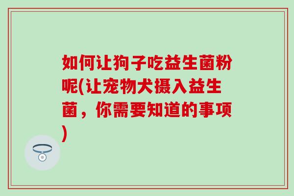 如何让狗子吃益生菌粉呢(让宠物犬摄入益生菌，你需要知道的事项)