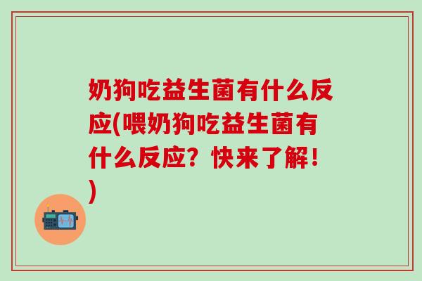 奶狗吃益生菌有什么反应(喂奶狗吃益生菌有什么反应？快来了解！)