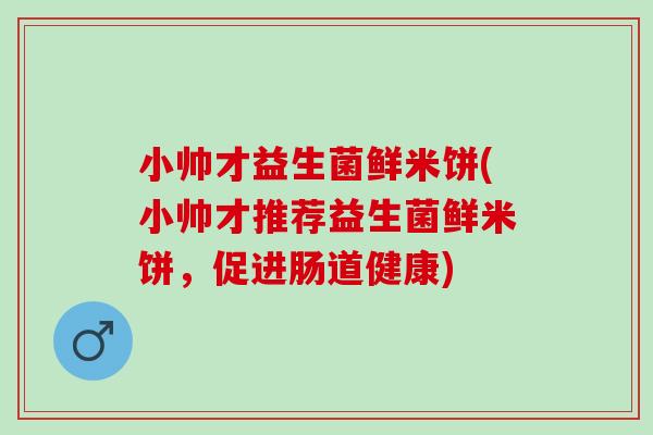小帅才益生菌鲜米饼(小帅才推荐益生菌鲜米饼，促进肠道健康)