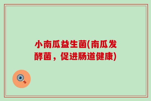 小南瓜益生菌(南瓜发酵菌，促进肠道健康)