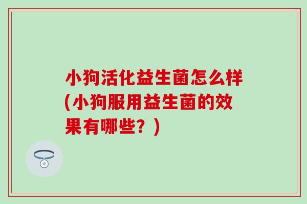 小狗活化益生菌怎么样(小狗服用益生菌的效果有哪些？)