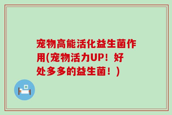 宠物高能活化益生菌作用(宠物活力UP！好处多多的益生菌！)