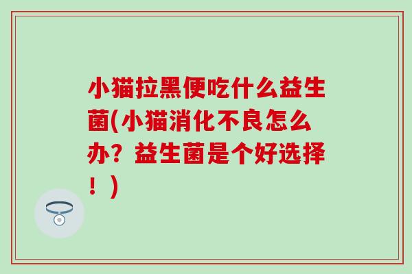 小猫拉黑便吃什么益生菌(小猫怎么办?益生菌是个好选择!) 小猫拉黑便吃什么益生菌(小猫怎么办?益生菌是个好选择!)