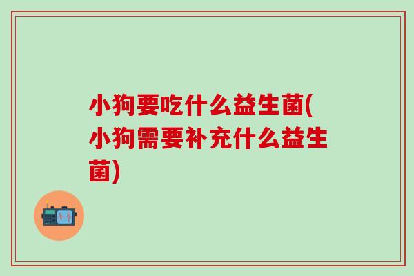 小狗要吃什么益生菌(小狗需要补充什么益生菌)