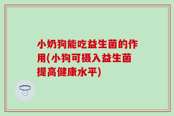 小奶狗能吃益生菌的作用(小狗可摄入益生菌提高健康水平)
