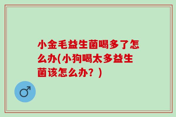 小金毛益生菌喝多了怎么办(小狗喝太多益生菌该怎么办？)