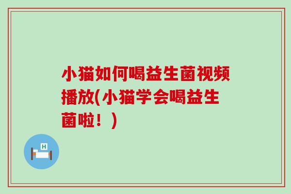 小猫如何喝益生菌视频播放(小猫学会喝益生菌啦！)