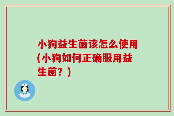 小狗益生菌该怎么使用(小狗如何正确服用益生菌？)
