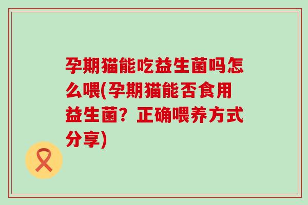 孕期猫能吃益生菌吗怎么喂(孕期猫能否食用益生菌？正确喂养方式分享)