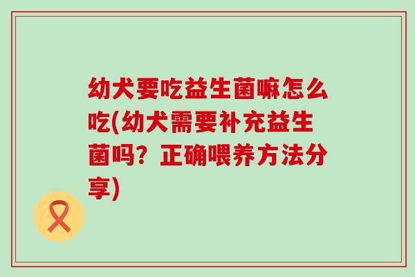 幼犬要吃益生菌嘛怎么吃(幼犬需要补充益生菌吗？正确喂养方法分享)