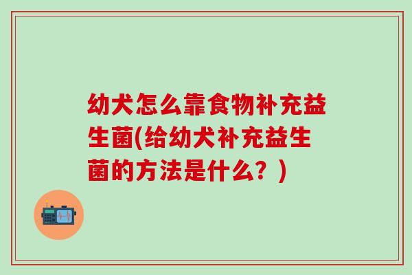 幼犬怎么靠食物补充益生菌(给幼犬补充益生菌的方法是什么？)