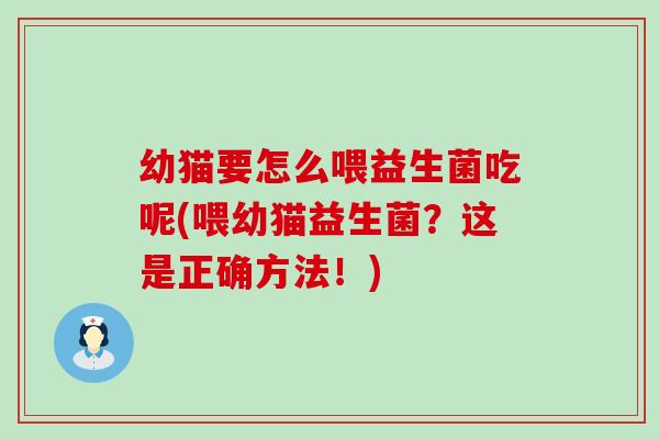 幼猫要怎么喂益生菌吃呢(喂幼猫益生菌？这是正确方法！)
