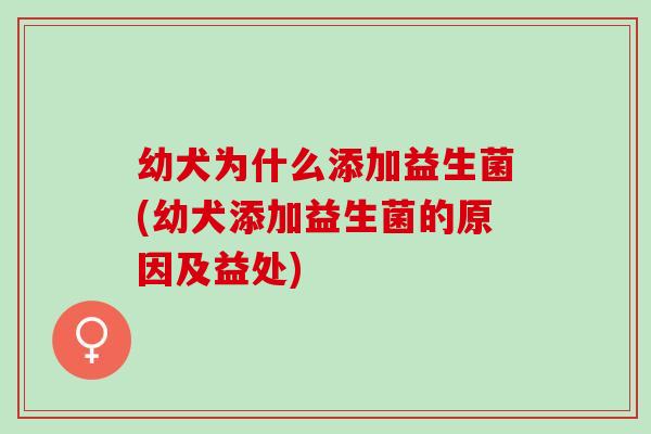 幼犬为什么添加益生菌(幼犬添加益生菌的原因及益处)