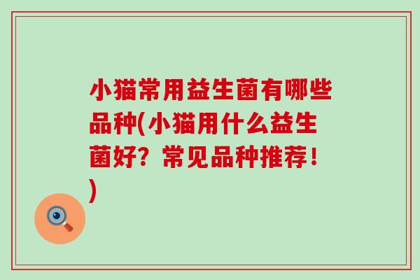 小猫常用益生菌有哪些品种(小猫用什么益生菌好？常见品种推荐！)