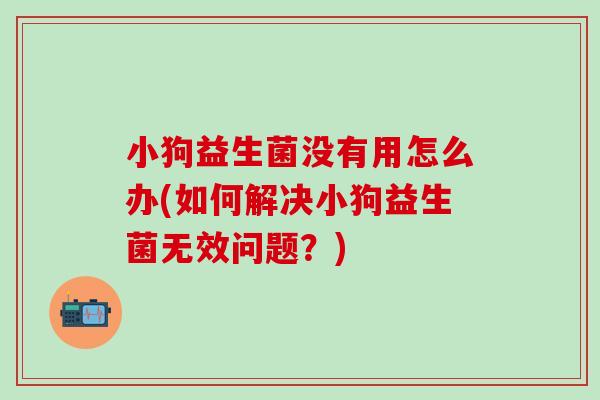 小狗益生菌没有用怎么办(如何解决小狗益生菌无效问题？)