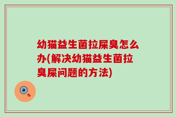 幼猫益生菌拉屎臭怎么办(解决幼猫益生菌拉臭屎问题的方法)