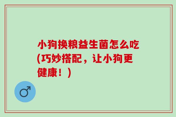 小狗换粮益生菌怎么吃(巧妙搭配，让小狗更健康！)