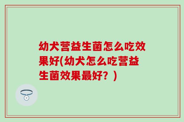 幼犬营益生菌怎么吃效果好(幼犬怎么吃营益生菌效果好？)