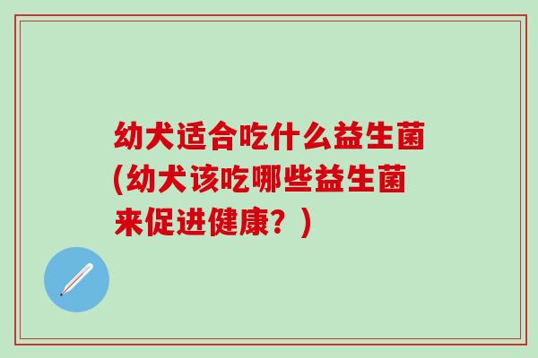 幼犬适合吃什么益生菌(幼犬该吃哪些益生菌来促进健康？)