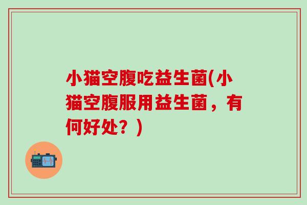 小猫空腹吃益生菌(小猫空腹服用益生菌，有何好处？)