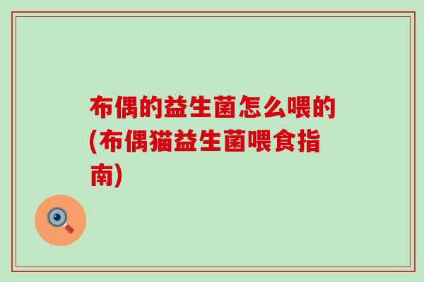 布偶的益生菌怎么喂的(布偶猫益生菌喂食指南)